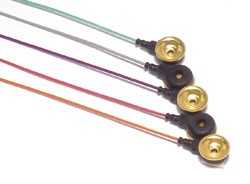 Gold Cup Electrode 60in 10 Pack Multicolor-NMS              