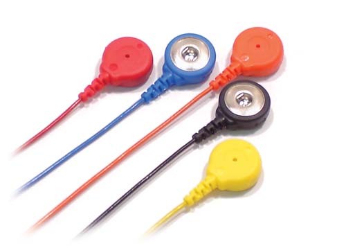 Dual Snap Leads 2 Pk 60" Orange