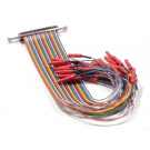 EBA TouchProof 32Ch SynAmps Wireless              